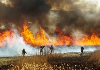 Alerta por gran incendio forestal que se activa en la zona central de Chile