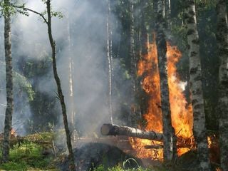 Incêndios causam transtornos próximo ao Ártico