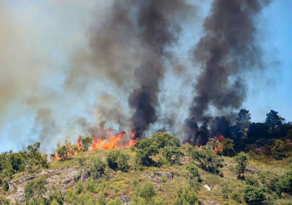 3 000 hectares ardidos em Penamacor e Idanha a Nova. 3 000 hectares ardidos em Penamacor e Idanha a Nova.