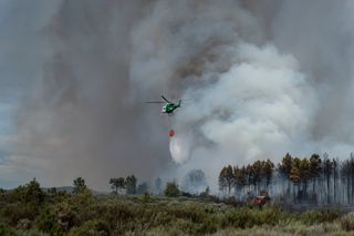 Incêndios em Portugal: mais de 27 mil hectares ardidos até meados de agosto