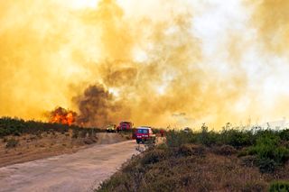 Incêndios em Portugal: mais de 8 mil hectares ardidos até junho