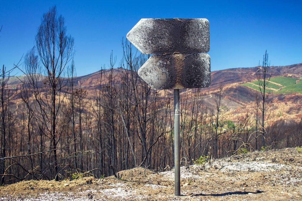 incêndios; portugal