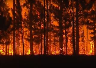 Incendios en Corrientes: últimas noticias y pronóstico de lluvias