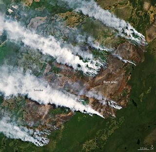Incendios en el Parque Nacional Iberá de Argentina