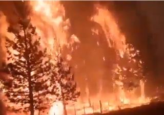 Incendios en la Patagonia: actualización de los focos en Neuquén, Río Negro y Chubut