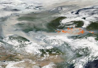 Incendios en Siberia son más grandes que todos los otros combinados