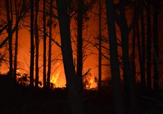 Incendios en Tandil, ¡alerta por el fuego!