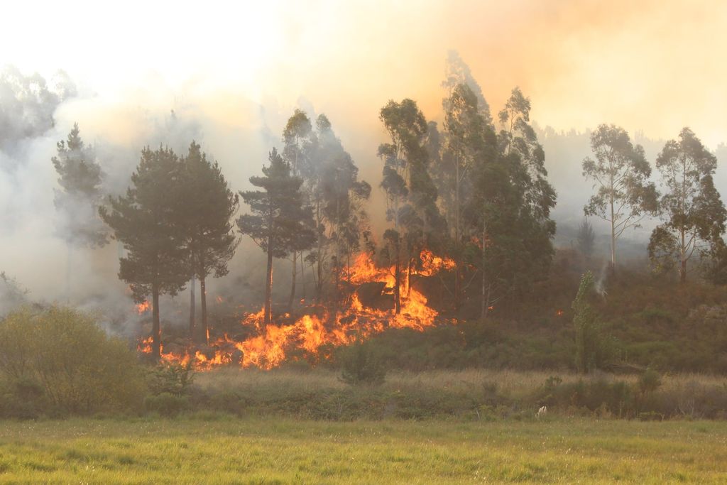 Incendios Tandil