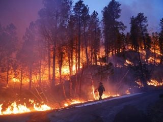 Incêndios florestais e impactos na Califórnia