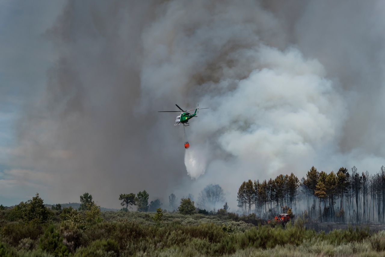 O Hemisfério Norte conheceu, no verão de 2023, condições ideais para que incêndios catastróficos tenham aqui eclodido e alastrado.