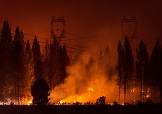 Incêndios florestais: uma resposta cada vez mais otimizada?