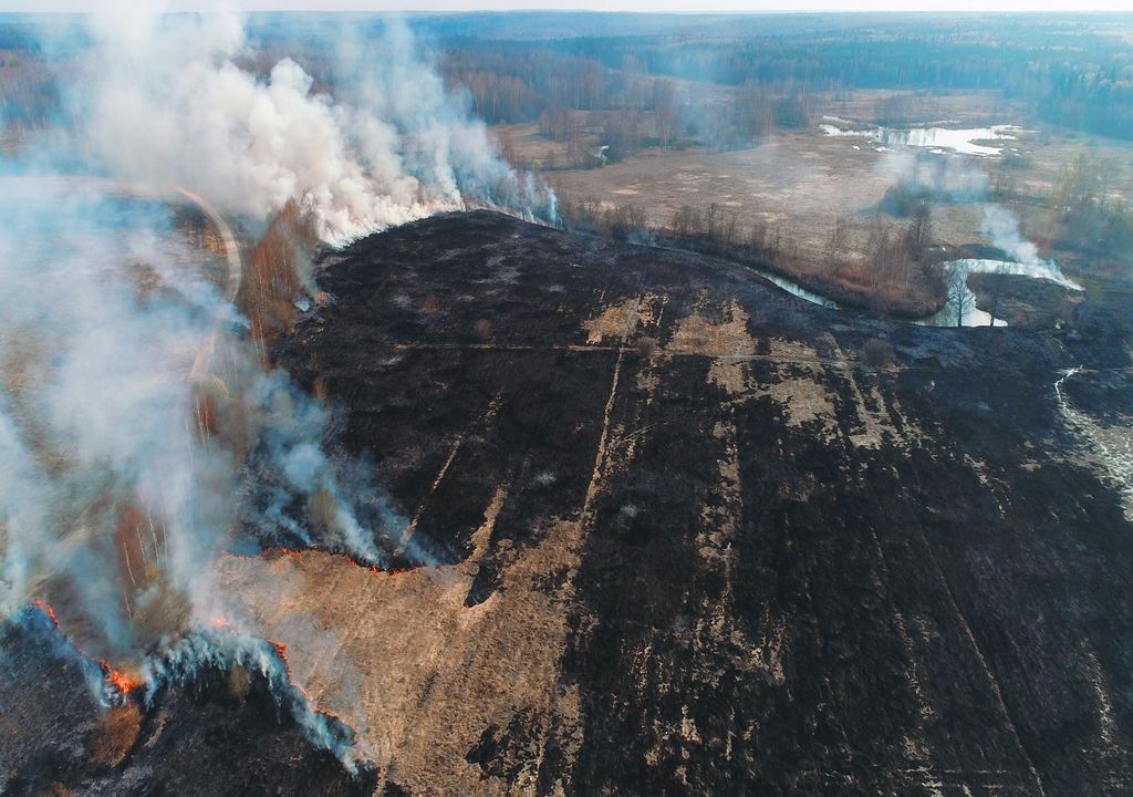 Superficie quemada por incendio forestal