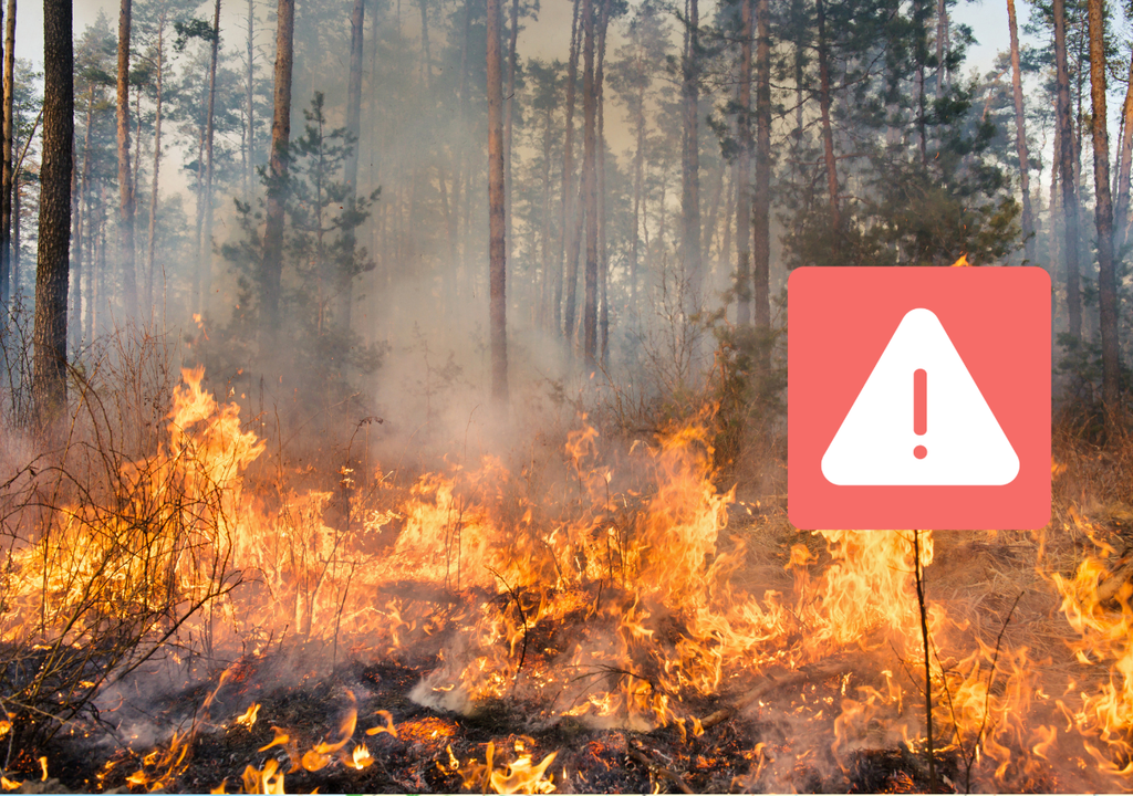 Alerta por incendio forestal. Alerta por incendio forestal.