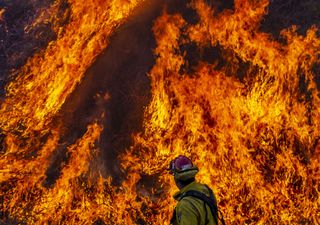 Incendios forestales afectan a los Estados Unidos