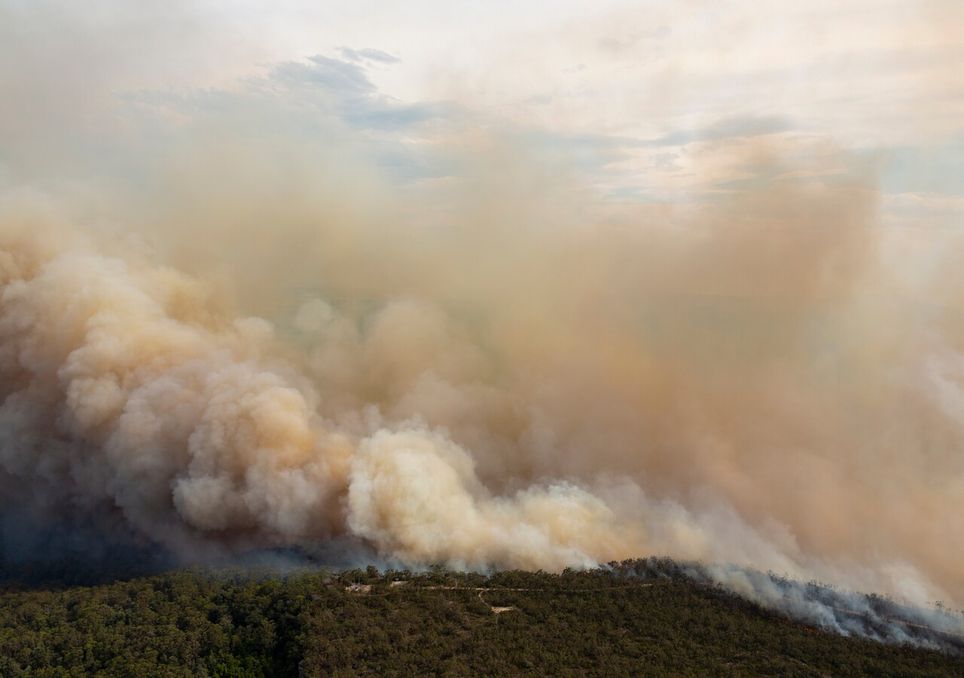 Incendios forestales afectan a más de una veintena de Áreas Naturales Protegidas en México. Noticias en tiempo real