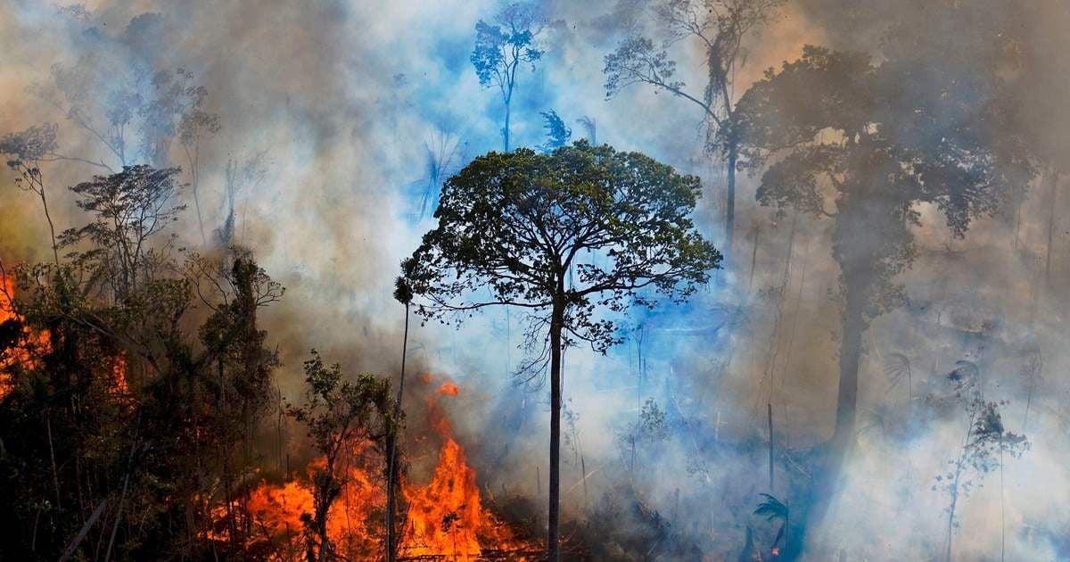 Los incendios forestales en áreas antiguas de bosque amazónico aumentaron un 152% en 2023. Imagen de archivo de X.