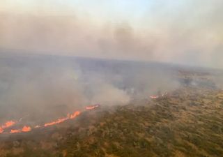 Incendios forestales arrasan en Australia, y Sídney registra el septiembre más caluroso de todos los tiempos