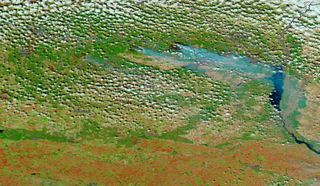Incendios forestales cerca de Chernobyl, Ucrania