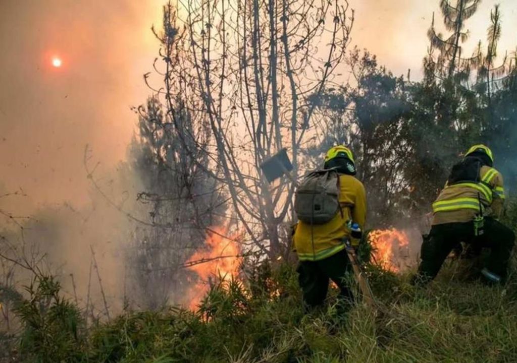 Incendios forestales en Colombia: causan estragos y se ha declarado zona de desastre
