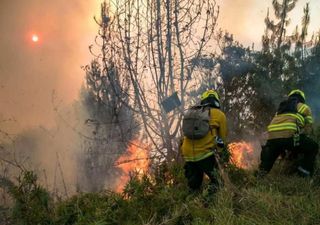 La Colombia colpita da devastanti incendi boschivi: i video e la situazione