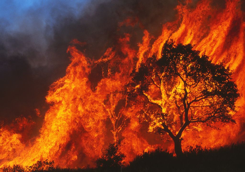incendios forestales emisiones de carbono humo sequía ola de calor europa