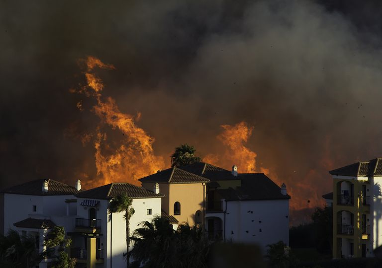 Incendios forestales: definición, prevención y medidas a tomar Incendios forestales: definición, prevención y medidas a tomar