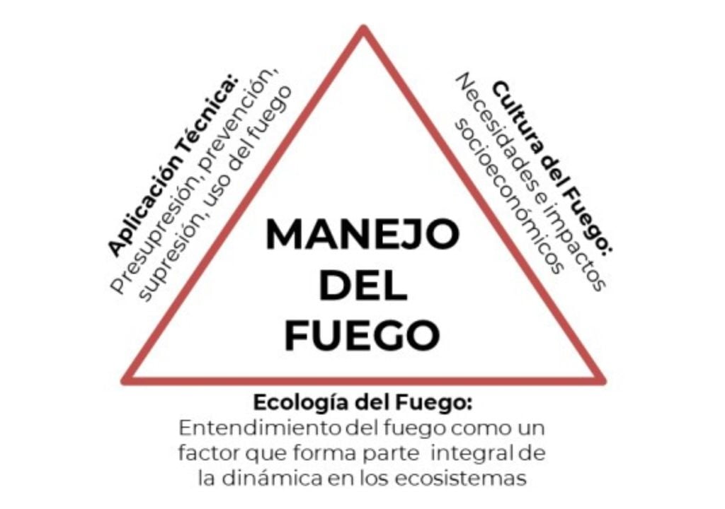 Manejo Integrado del Fuego: esquema que integra la ecología del fuego, la aplicación técnica y la cultura del fuego, clave para prevenir, prepararse y convivir con incendios forestales en un contexto de cambio climático.
