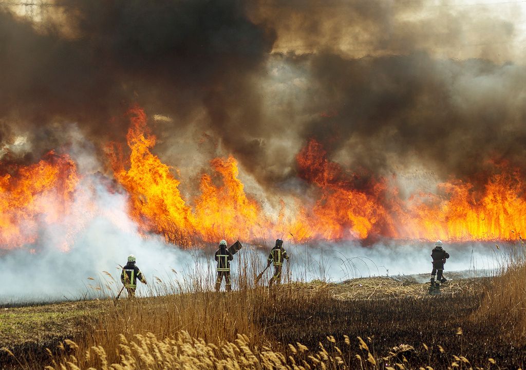 incendios forestales Corrientes fuego Esteros del Iberá