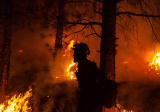 Incendios forestales en EE.UU. camino a un nuevo récord