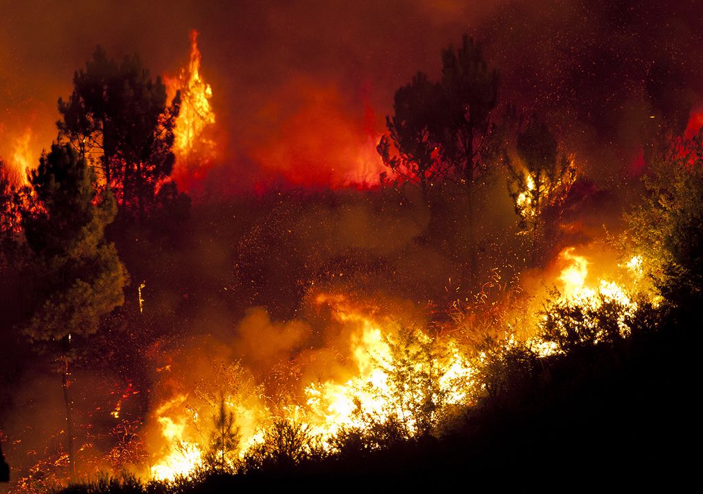 Incendios forestales en el norte argentino
