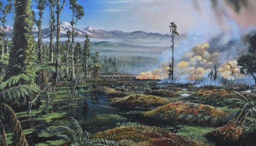Incendios forestales en la Ant&aacute;rtica dieron forma a las turberas m&aacute;s antiguas de la Tierra hace 90 millones de a&ntilde;os