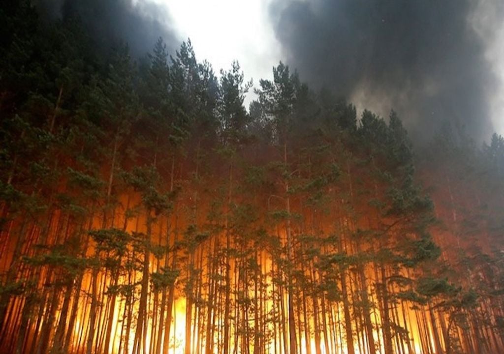Incendios forestales en Rusia