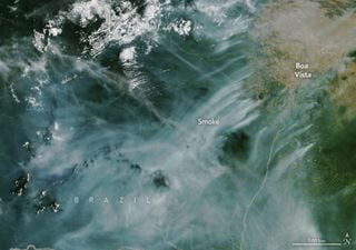 Incendios forestales enormes arrasan Roraima, en el norte del Amazonas