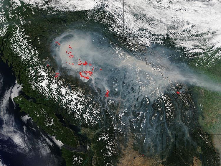 Incendios Forestales: Estado De Emergencia En La Costa Oeste De Norteamérica