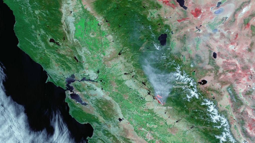 Incendios Forestales: Estado De Emergencia En La Costa Oeste De Norteamérica
