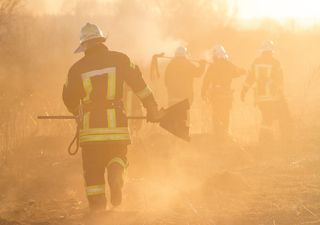 Incendios forestales han consumido más de 120 mil hectáreas en 2023, Jalisco y Oaxaca los estados más afectados 