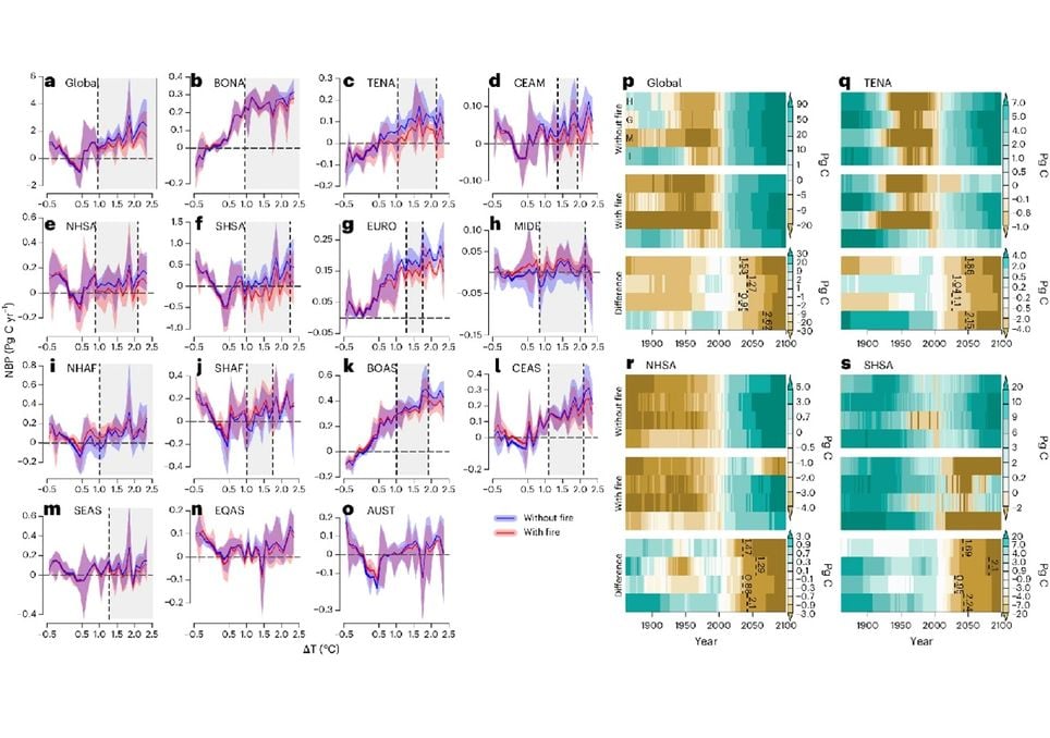 Gráfica explicativa estudio incendios forestales y sumideros de carbono.