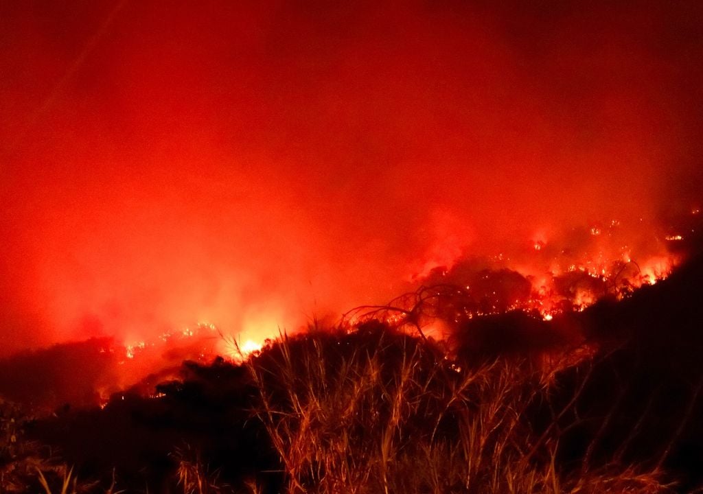 Incendio forestal en Amazonas