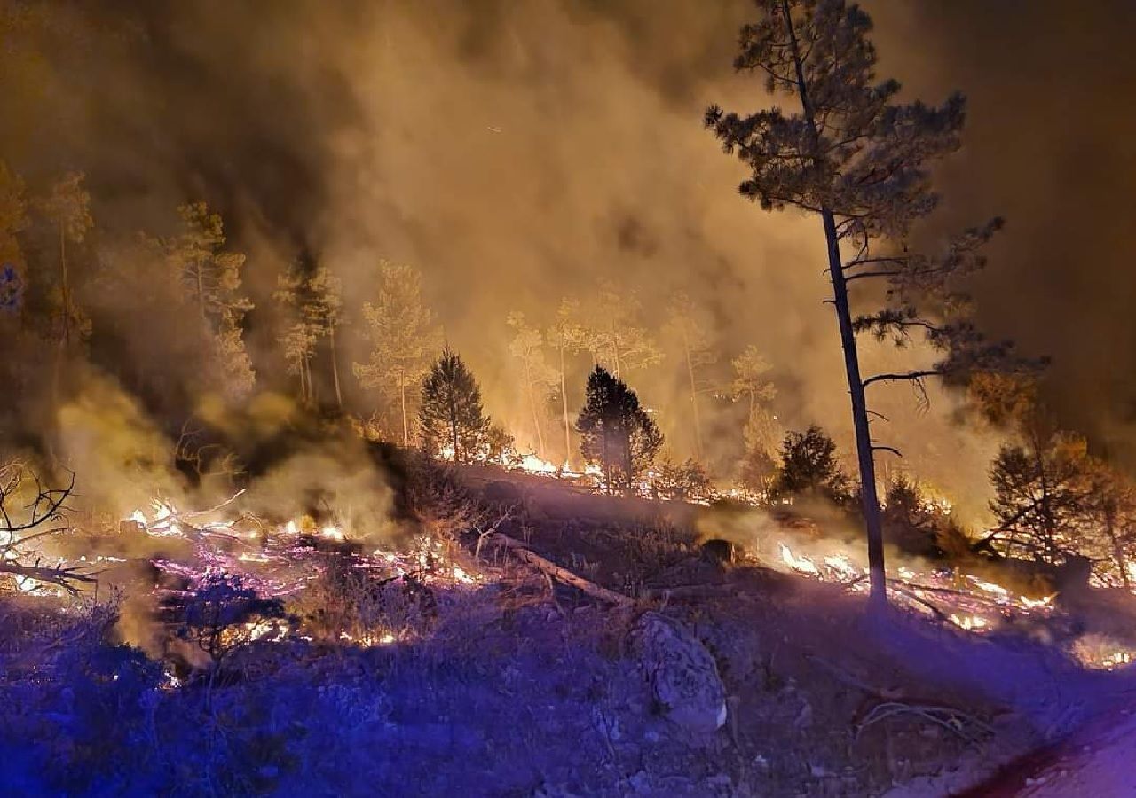Las llamas devoran importante cantidad de hectáreas forestales. Fotografía: @OPQuinto