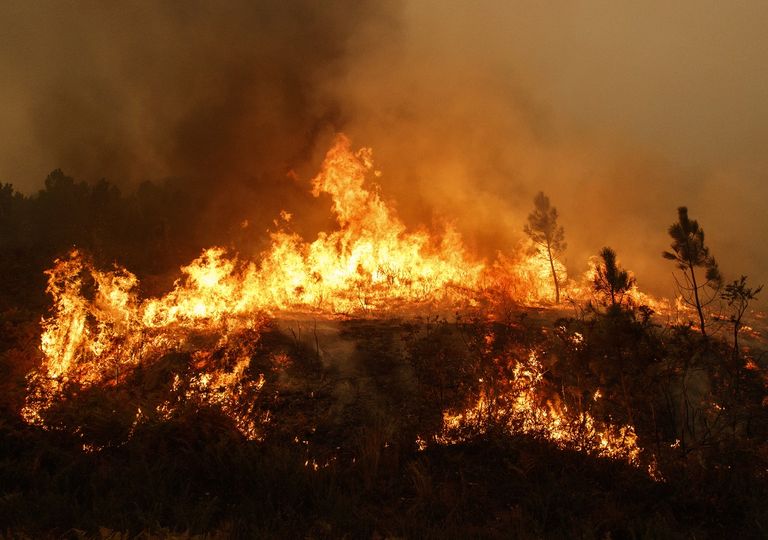 Incendio Forestal Incendio Forestal