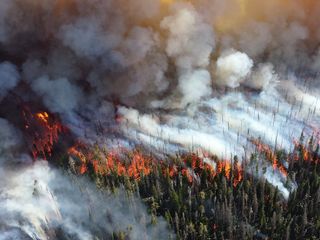 Incendios forestales, un problema que va en aumento