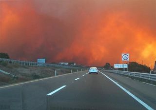 Incendios forestales se registran en Baja California