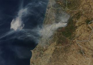 Los científicos analizan cómo afectan los incendios forestales y el tiempo a la salud pública de Portugal