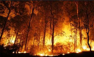 Incendios forestales: todo lo que se necesita es una chispa
