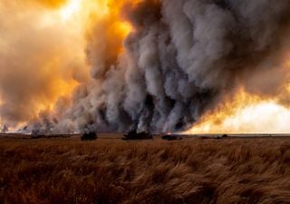 Incêndios florestais e o perigoso ciclo de pyrocumulus