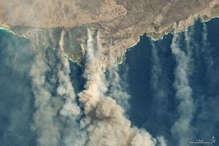 Incendios forestales y pandemia: impactos en el clima global 2020