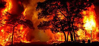 Incendios forestales: ¿batalla perdida?