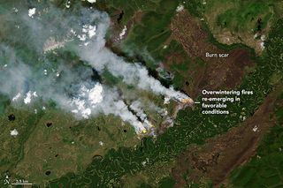 Incendios invernales en aumento: incendios zombis