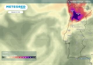 Incêndios monstruosos em Portugal libertam muito fumo e comprometem a qualidade do ar: quais as consequências?