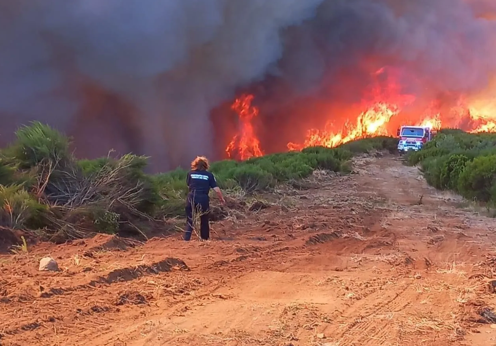 Incêndio Madeira